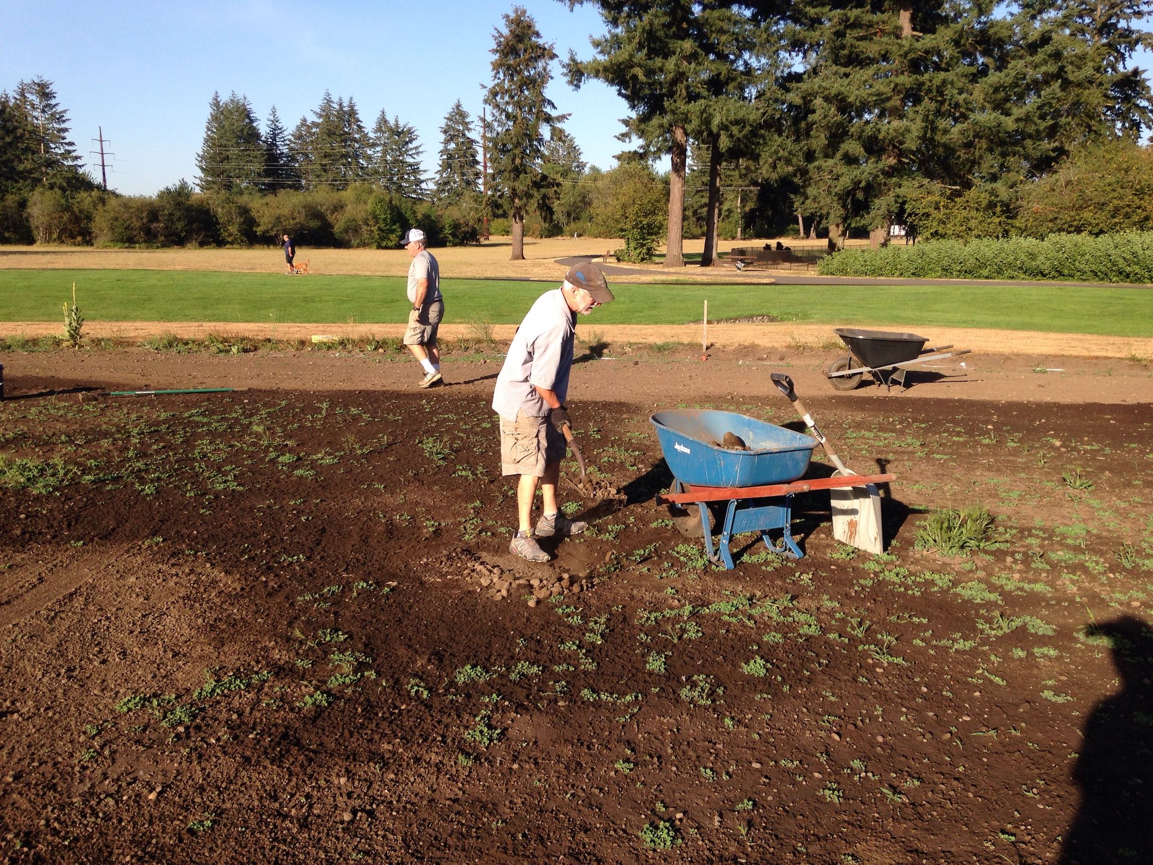Volunteers and Building of the new field